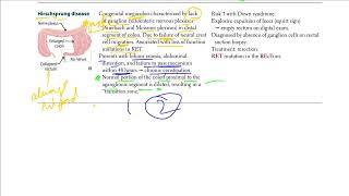 Hirschsprung Disease  USMLE STEP 1 [upl. by Lotsirhc]