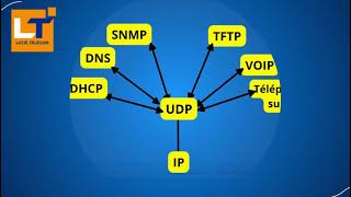 Fonctionnement des protocoles TCP et UDP [upl. by Ydnab]