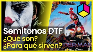 🌗 DTF  ¿Qué son los Semitonos DTF ¿Para qué se usan [upl. by Ydne]