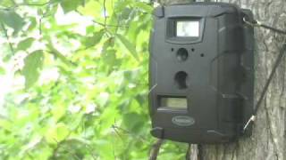 Moultrie GameSpy Trail Camera [upl. by Gault218]