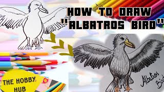 How to Draw an Albatross Bird  StepbyStep Tutorial  Bird [upl. by Wolfy485]