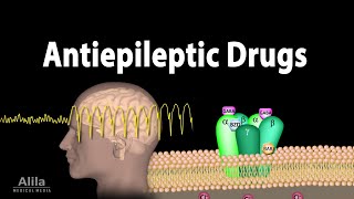 Pharmacology  Antiepileptic Drugs Animation [upl. by Mordecai]