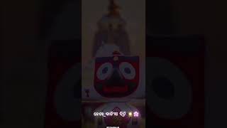 🙏Jeta jauchhi mo bayasa gadi🙏odia new 4k hd statusodia new Jagannath song statusshortvideo🙏 [upl. by Hortensa]