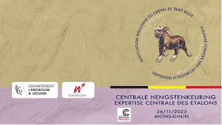 Centrale Hengstenkeuring  Expertise Centrale des Etalons MonsGhlin 2023 [upl. by Minier284]