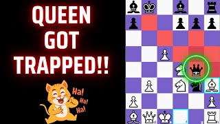 Wurzburger Trap  Vienna Gambit Falkbeer Variation Trap  Trap the Queen [upl. by Mahmud]