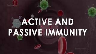 Immunisation and types of immunity  Active and passive immunity [upl. by Thurnau257]