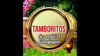 Tamborito se perdió el canajagua [upl. by Annuahs]