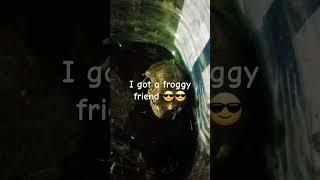 I got a froggy friend 😎😎 [upl. by Phelia]