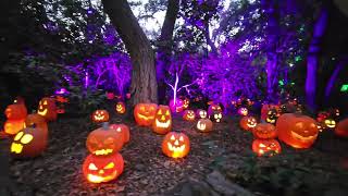 Descanso Gardens Halloween 2024 [upl. by Najram]