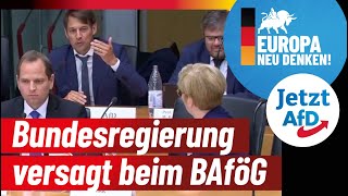 Bundesregierung versagt beim BAföG  Dr Götz Frömming AfD [upl. by Anirbus]