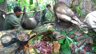 Wild Boar Hunting and Cooking in The MountainsYos hav zoov tua npua teb tua noog [upl. by Tilden]