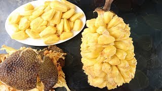 Amazing Jackfruit Cutting Skills  Amazing Way To Open a Big Jackfruit  How To Cut a jackfruit [upl. by Viveca]