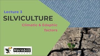 3 Silviculture Lecture 3  Climatic factors and Edaphic factors [upl. by Ainolloppa]