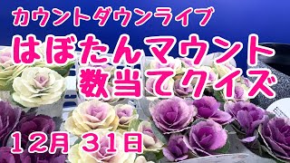 カウントダウンライブ 葉牡丹 ドーム 数当てクイズ マウントギャザリング 寄せ植え プランツギャザリング 2023年12月29日 [upl. by Avraham334]