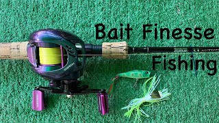 Bait Finesse Fishing fishing bassfishinglife [upl. by Janella]