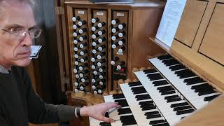 Improvisation in the style of a Baroque organ concerto [upl. by Sawtelle]