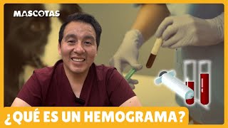 EL HEMOGRAMA ES CLAVE PARA DETECTAR ENFERMEDADES [upl. by Maris800]