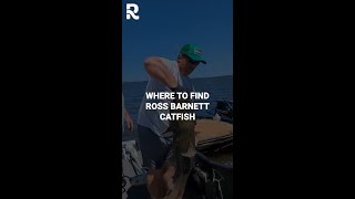 Where to Find Catfish on Ross Barnett Reservoir [upl. by Aikkan700]