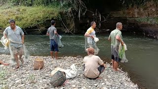 Fishing Net Video  Traditional Net Fishing Village in River With Beautiful Natural Part 22 [upl. by Llenyaj]