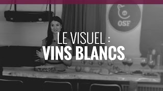 Le visuel vins blancs [upl. by Otreblif]