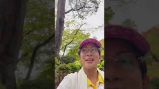 2nd itinerary MSC BELLISSIMA cruising msc2023 mscbellissima japan cruise akita [upl. by Atimad549]