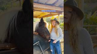 freewill newmusic countrymusic starseed highvibes mindfulness positiveenergy horse love [upl. by Aicargatla]