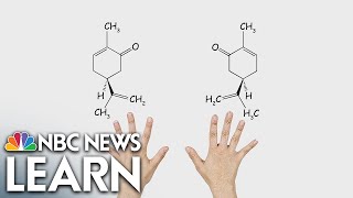 Mirror Molecule Carvone [upl. by Shedd]