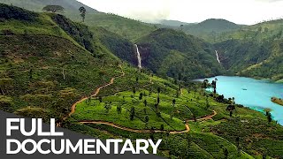 Amazing Quest Stories from Sri Lanka  Somewhere on Earth Sri Lanka  Free Documentary [upl. by Ilhsa]