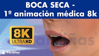 BOCA SECA  Causas y remedios de la sequedad de boca  PRIMERA ANIMACIÓN MÉDICA en 8K del MUNDO © [upl. by Dame]