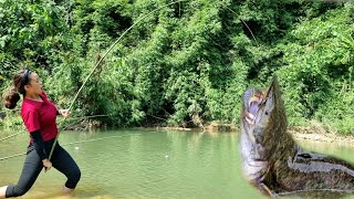 How to catch giant fish in natural streams  how to make bamboo fishing rod my daily life [upl. by Weaks881]