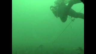 Halibut SpearFishing with a Polespear [upl. by Atnek]