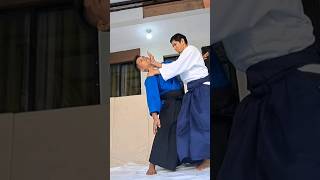 Ago Ate  Aikido Chin Throw UraTenkan w Uke Nagashi aikido martialarts [upl. by Leggett]