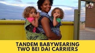 Tandem Babywearing in Two Bei Dai [upl. by Cassie]