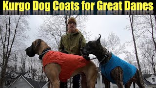 Kurgo Dog Coats for Great Danes [upl. by Tisbe]