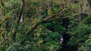 Costa Rica Zipline Adventure Tour [upl. by Cusick]