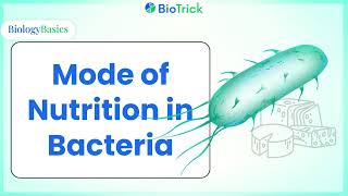 Mode of Nutrition in Bacteria  Kingdom Monera  Biological Classification  Class 11 Biology [upl. by Akeme]