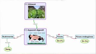 Cours agronomie 2  Alimentation animale [upl. by Kutzer965]