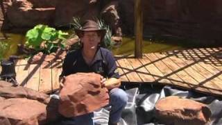 How to Install a Universal Cascade Water Feature in Your Backyard [upl. by Havener]