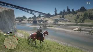 RDR2 Baltimore Oriole spawn location below Bards Crossing [upl. by Melosa147]