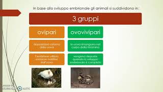 Riproduzione e classificazione animali [upl. by Anile]