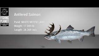 Fishing Planet  Christmas Event  White Moose  Antlered Salmon [upl. by Irme]