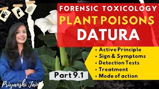 Datura Poisoning  Forensic Toxicology amp Medicine  Plant poison  Priyanshi Jain [upl. by Araminta]