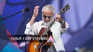 Wild world  Cat Stevens Traducida al español [upl. by Audrye931]