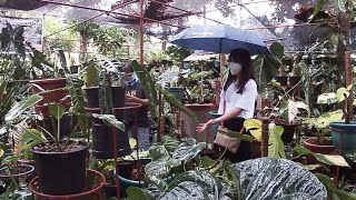 HOW TO PLANT SHOP IN THE RAIN WITH AUBREY AND TROY [upl. by Garrison649]