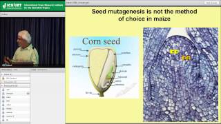 Next Generation Mutagenesis NextGEM [upl. by Asenej]