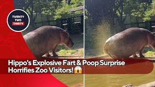 Hippos Explosive Fart amp Poop Surprise Horrifies Zoo Visitors 😱  Caught on Camera at Surabaya Zoo [upl. by Arayc]