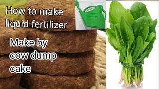 how to make the liquid fertilizer make by cow dump cake👍🏻👍🏻 [upl. by Tumer]