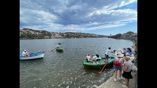 Vongole e barche a remi come si racconta il lago di Ganzirri ai turisti stranieri [upl. by Ennovy]