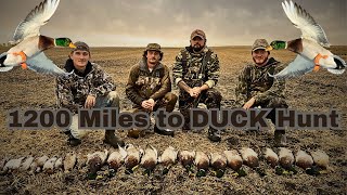 We drove 1200 Miles to Duck Hunt 5000 ducks in a flooded field Day 1 [upl. by Alis]