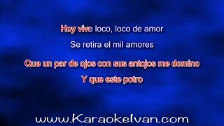 Pesado  El mil amores KARAOKE [upl. by Claudetta]